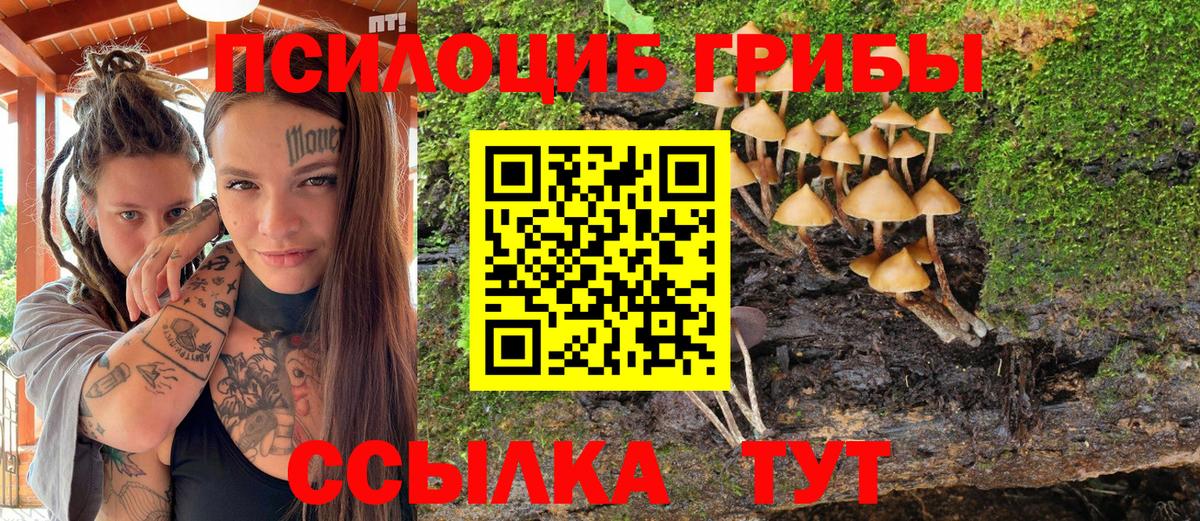Псилоцибиновые грибы Psilocybine cubensis  Галлюциногенные грибы Cubensis  Ноябрьск  Вход с VPN 